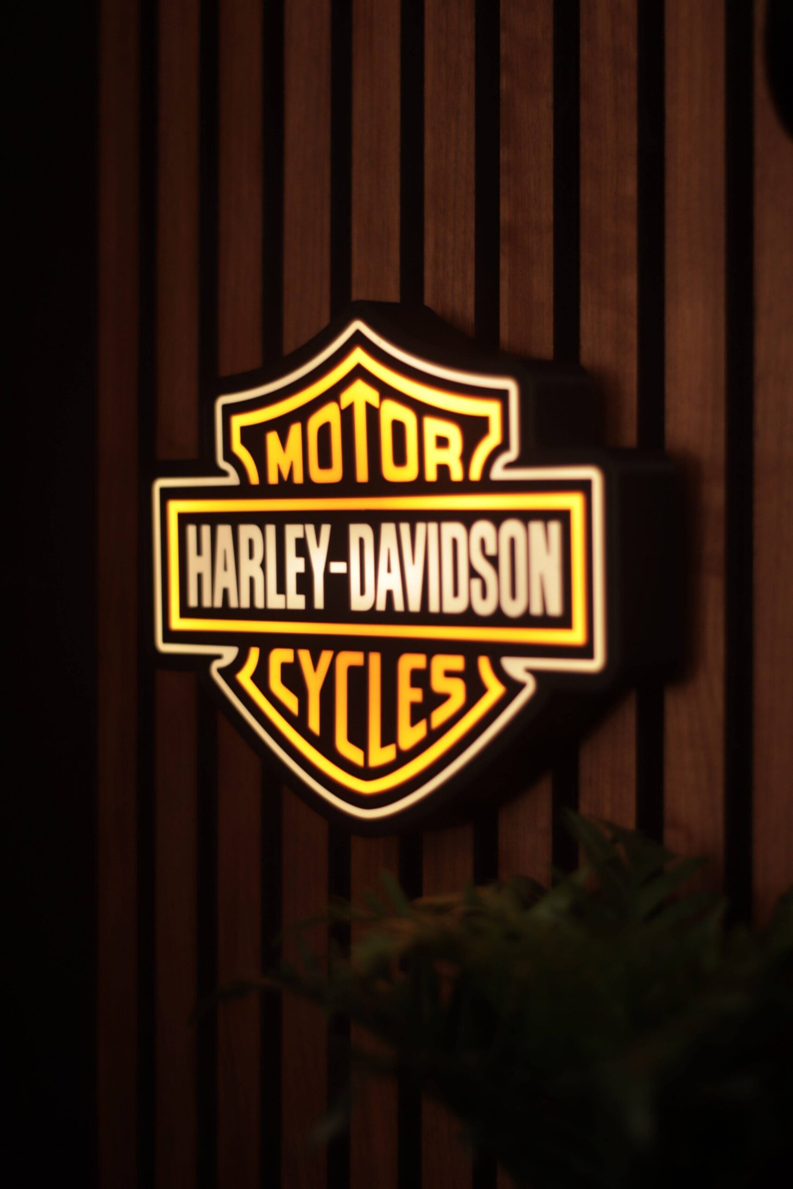 Harley Davidson • 3D lightbox - Image 2