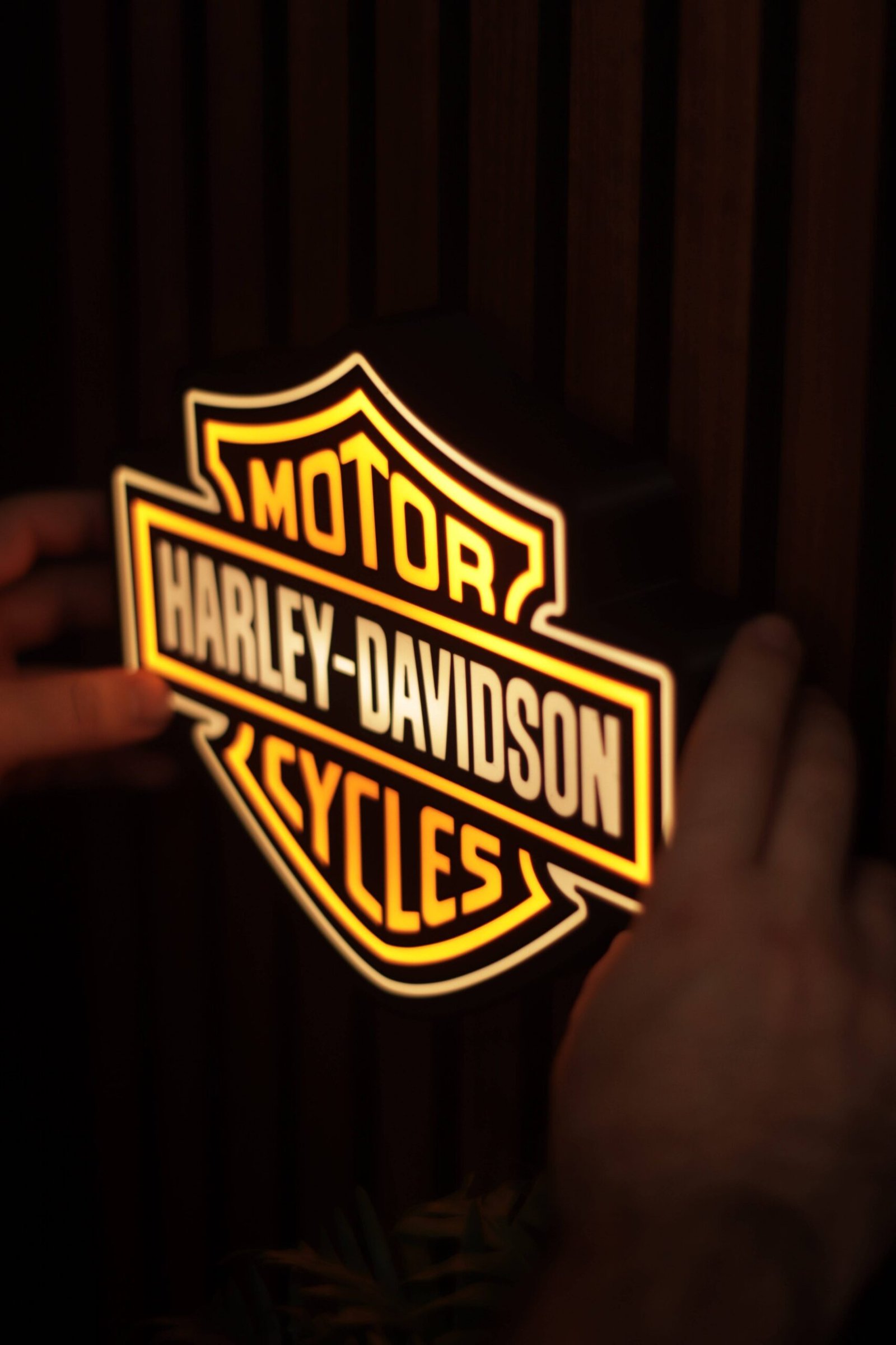 Harley Davidson • 3D lightbox - Image 3